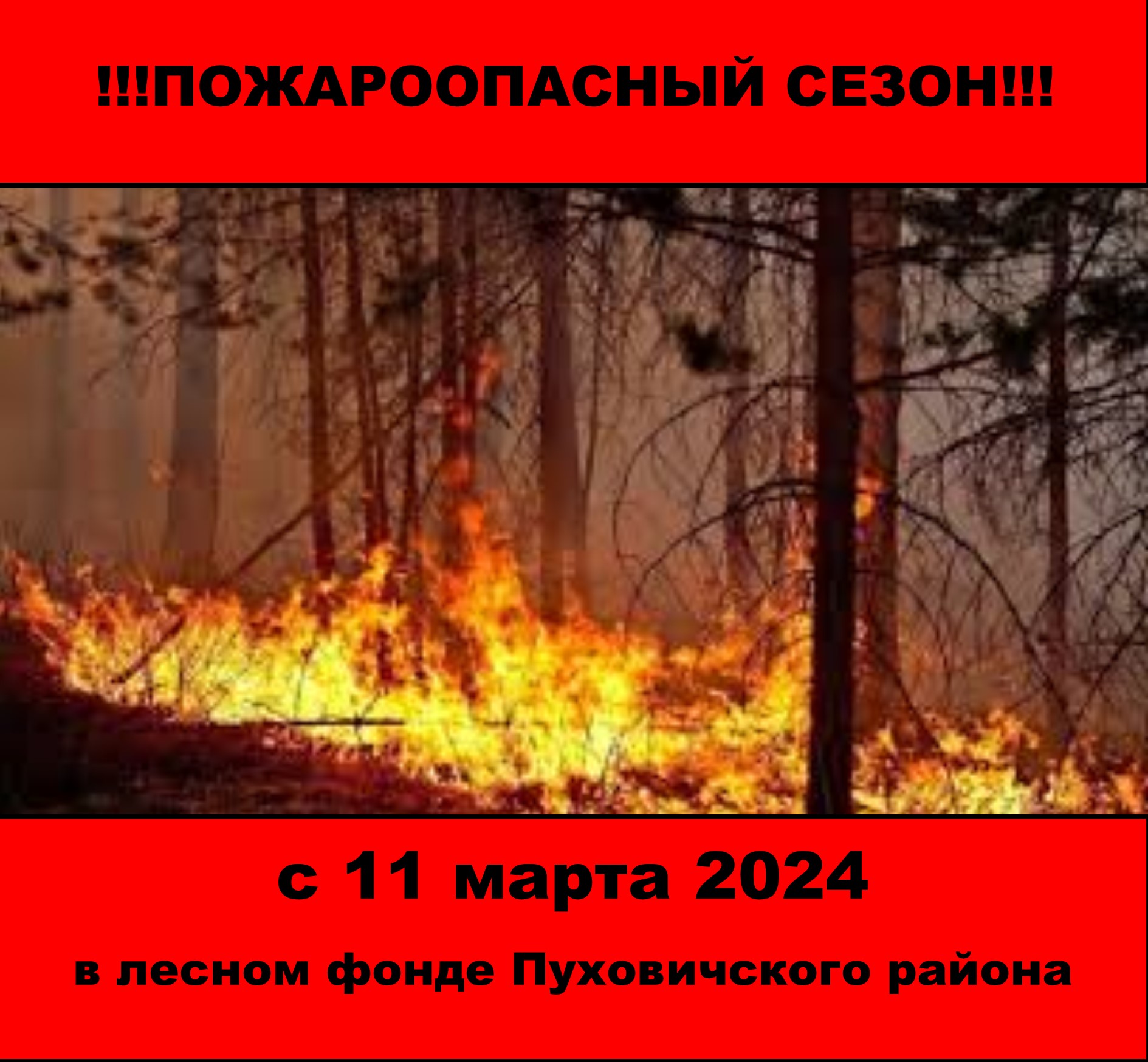 Начало пожароопасного сезона в лесном фонде Пуховичского района